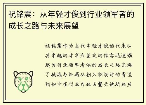 祝铭震：从年轻才俊到行业领军者的成长之路与未来展望