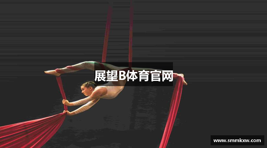 展望B体育官网